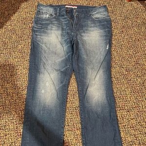 Tommy Hilfiger Mens Jeans